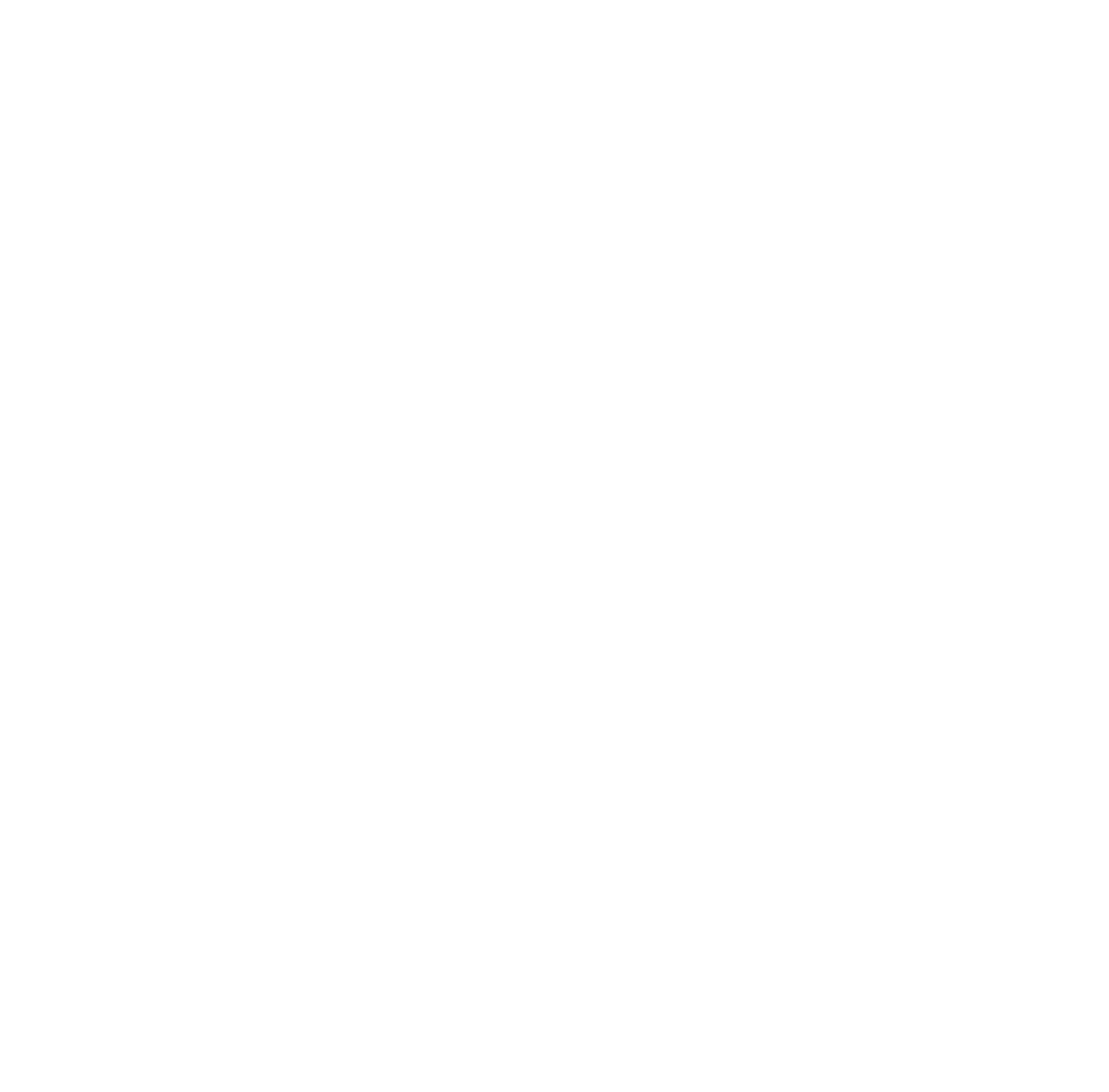 logo convision mit schrift weiß